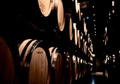 八海山醸造見学