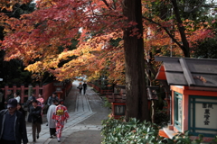 晩秋
