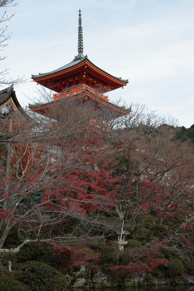 晩秋