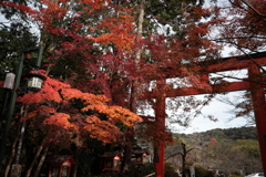 晩秋