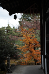 紅葉