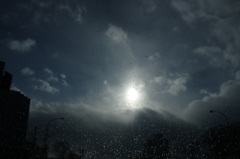 雨上がり(クロスなし)