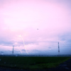 雷雨の鷺