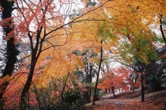 新宿 箱根山