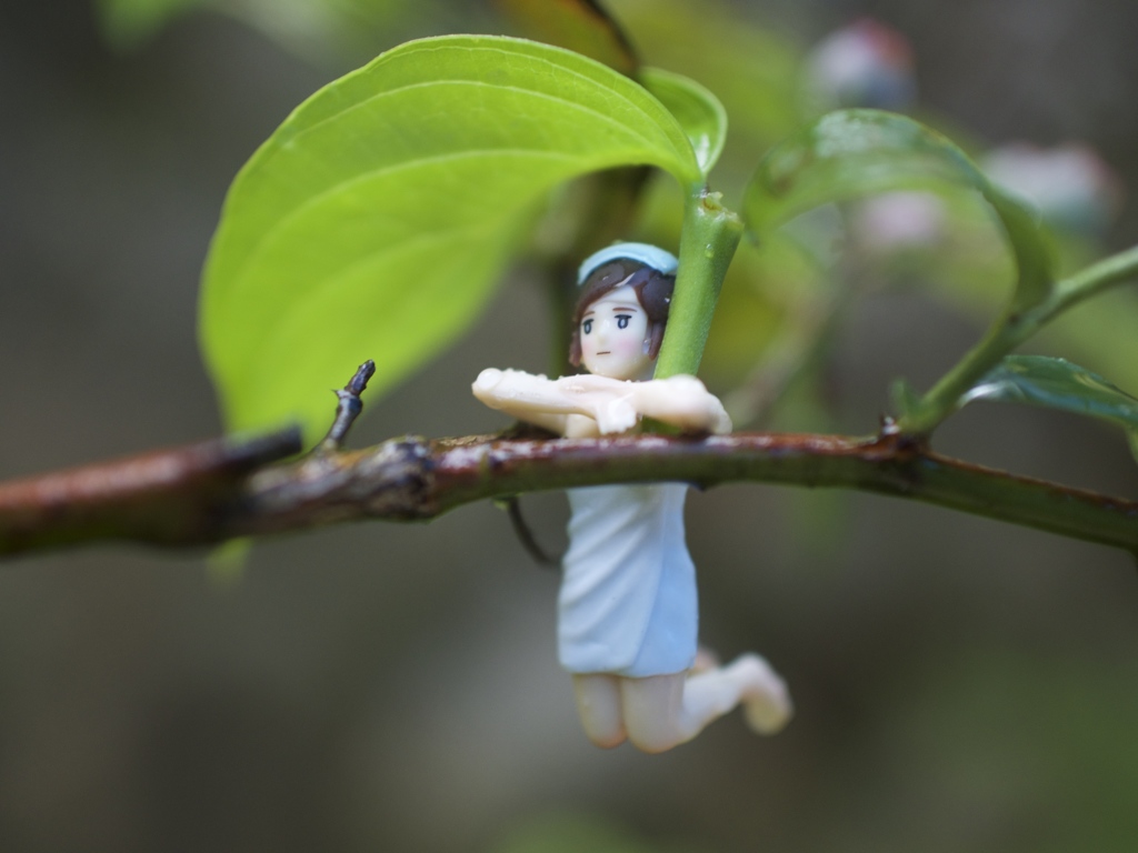 梅雨のフチ子