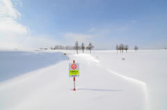 美瑛の雪景色