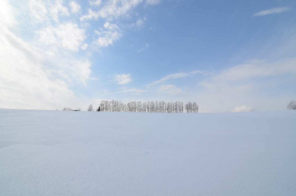 美瑛の雪景色