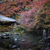 夕暮れの蓮華寺