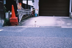 FH000008