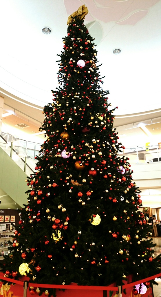 もうクリスマスツリーが