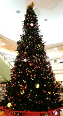 もうクリスマスツリーが