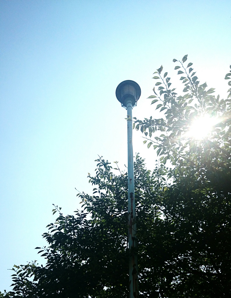 夏も終わり