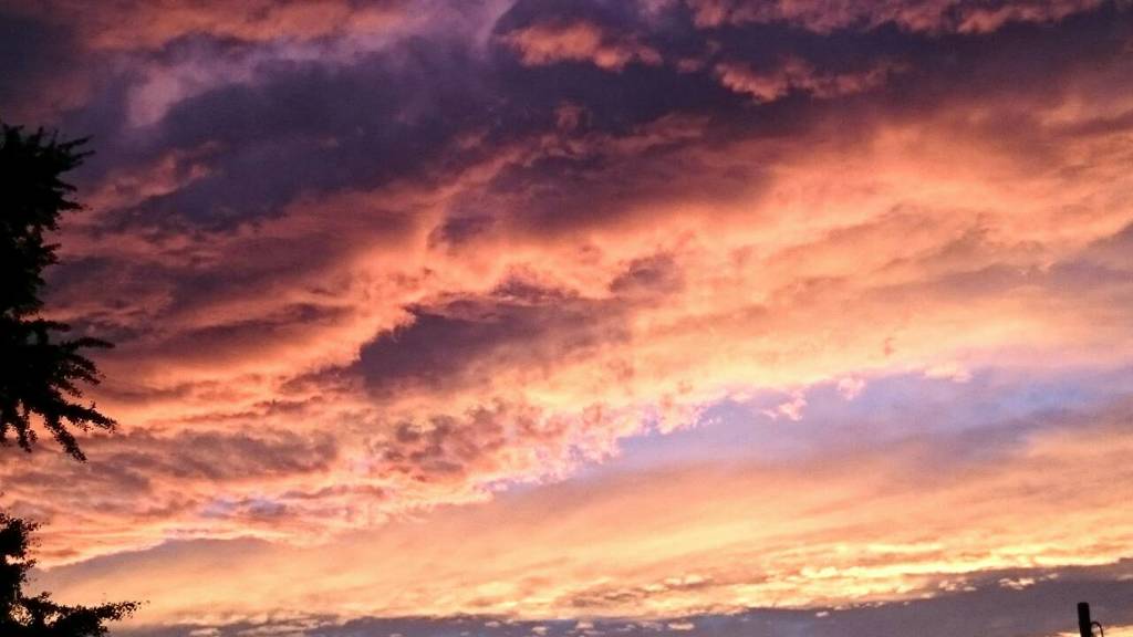 夕焼け