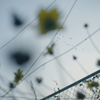 R0011833_B