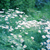 R0018633