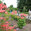 ウラジオストック植物園