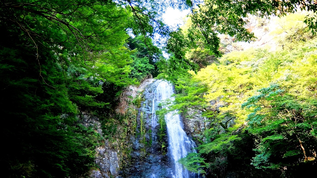 DSCF0160