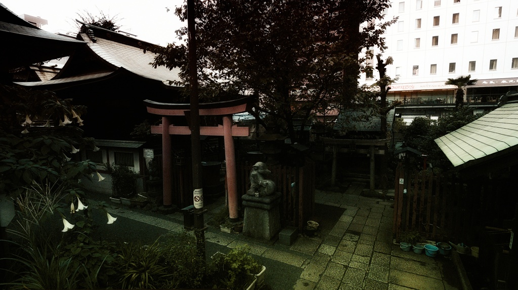 IMGP5568