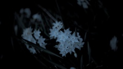 P1111505