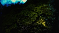 P1111294_02 (1)