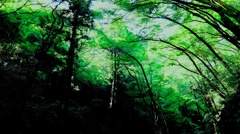 DSCF0150