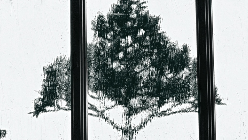 P1172468