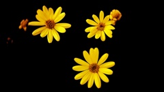 P1090805