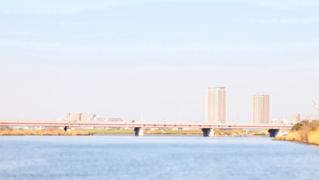 P1313773
