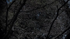 P1111398