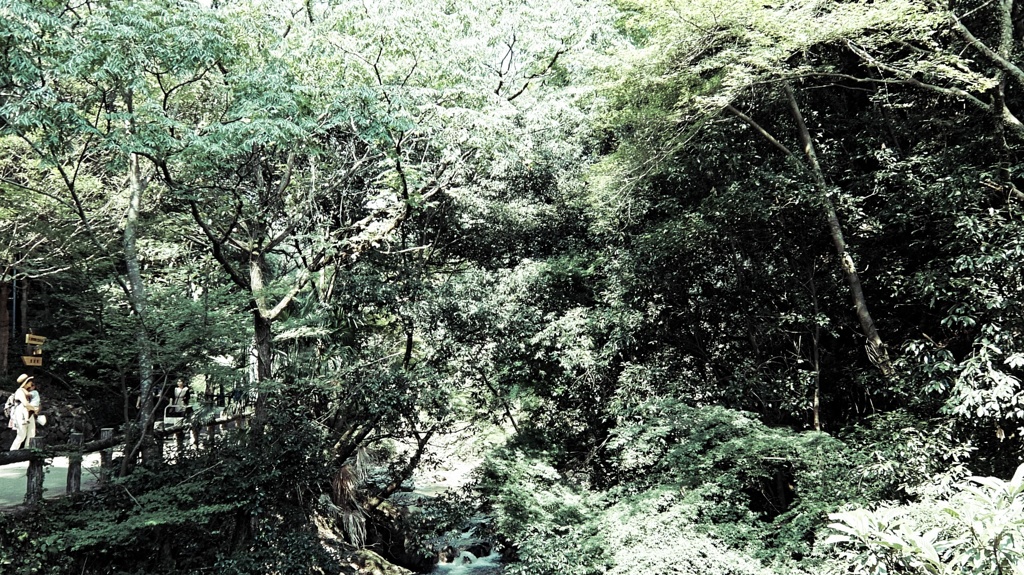 DSCF0140