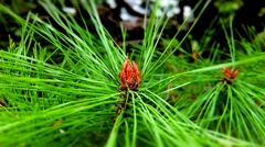 DSCF0451