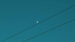 DSCF4395