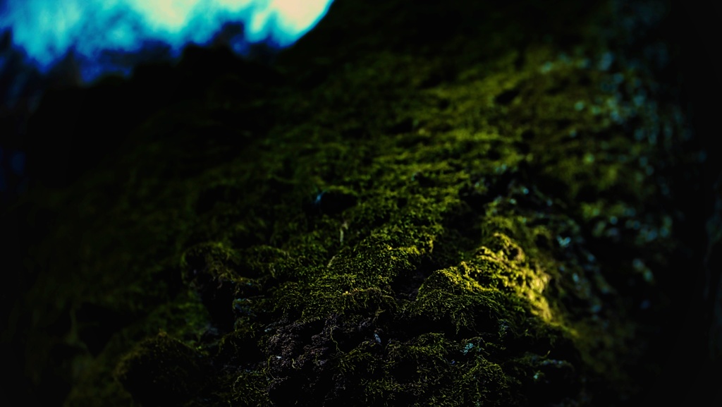 P1111294_02 (1)