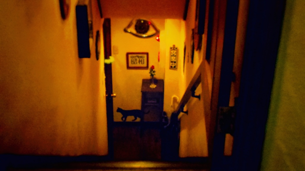 IMGP6873