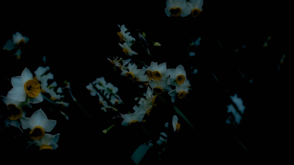 P1111536