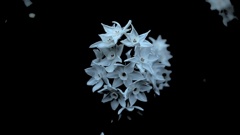 P1111530