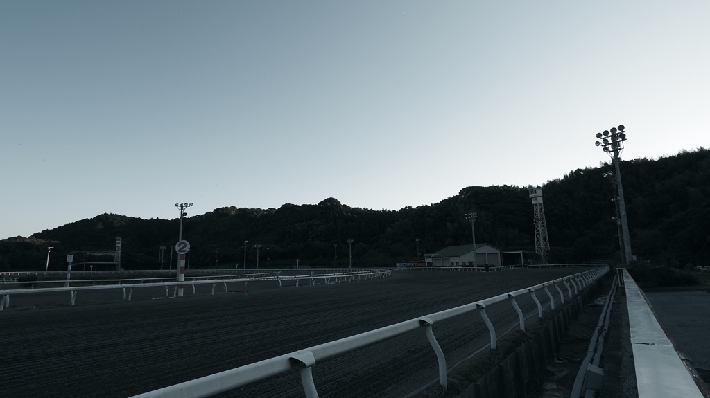 IMGP2245