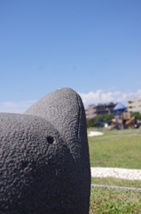 今日は飛べそうな気がします。
