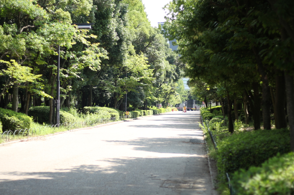 大阪城公園