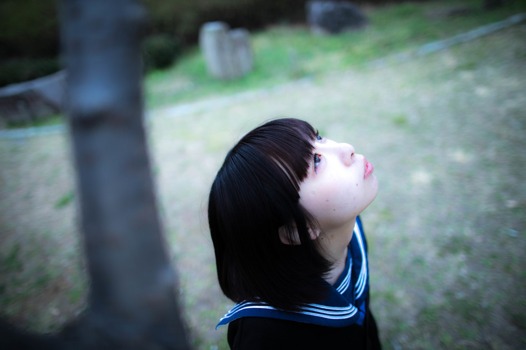 さくら 3