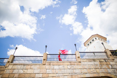 「Red flag」3