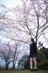 「未来へ進め」