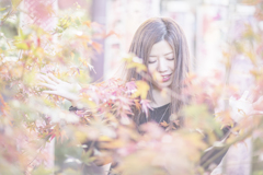 「autumn leaves」