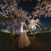 「桜月光」4