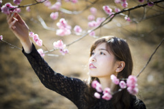 「pink plum」2