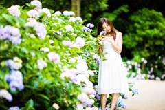 「ajisai」（white.3rd）