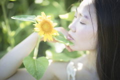 「sunflower」4