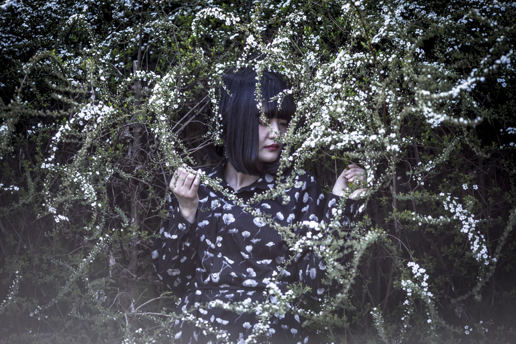 「闇の花」