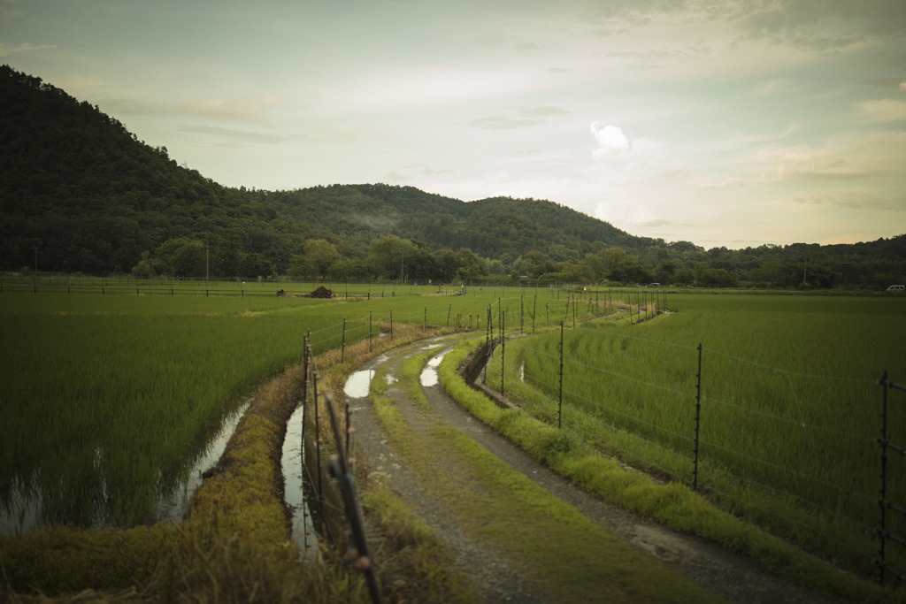 「田舎の地～街から離れて～」