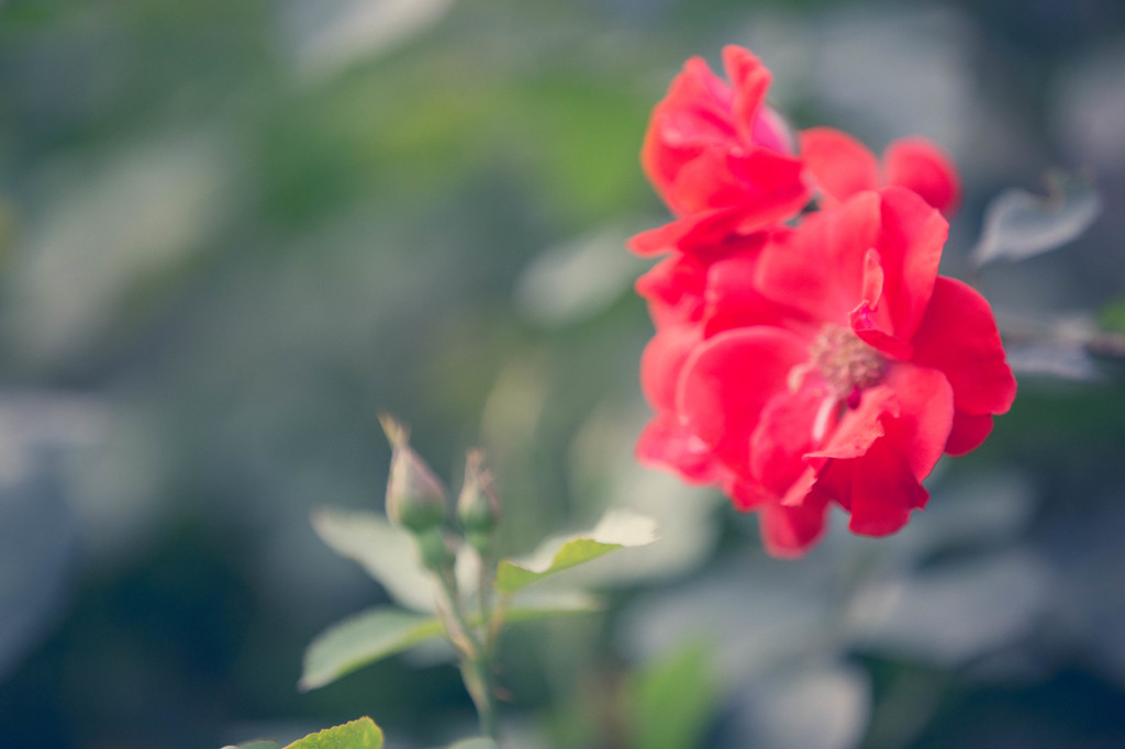 瞳をそむけていたのは自分だった